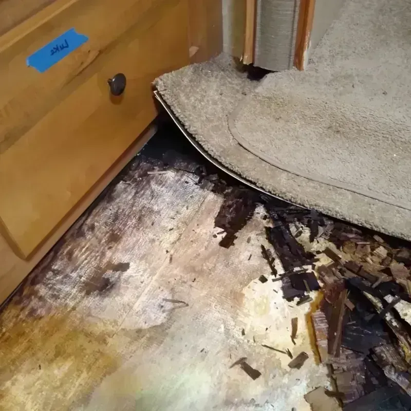 Best Wood Floor Water Damage Service in Combee Settlement, FL